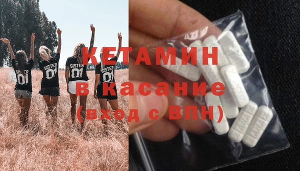 крисы Абаза